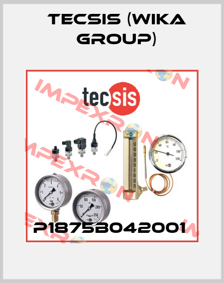 P1875B042001  Tecsis (WIKA Group)
