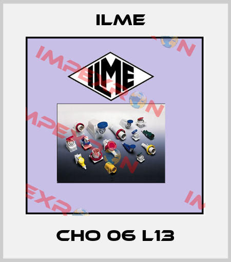 CHO 06 L13 Ilme