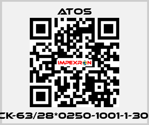 CK-63/28*0250-1001-1-30  Atos