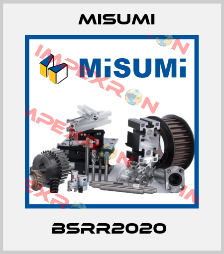 BSRR2020  Misumi