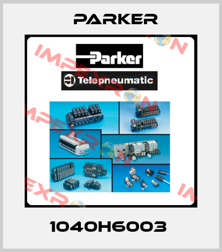 1040H6003  Parker