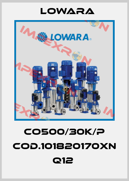 CO500/30K/P cod.101820170XN Q12  Lowara