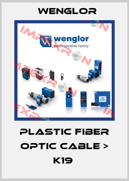 Plastic Fiber Optic Cable > K19  Wenglor