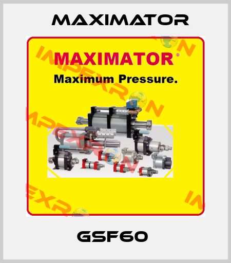 GSF60  Maximator