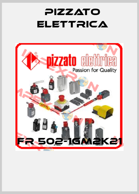 FR 502-1GM2K21  Pizzato Elettrica