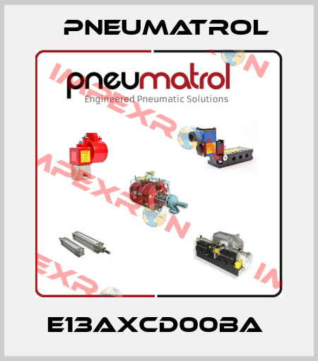 E13AXCD00BA  Pneumatrol