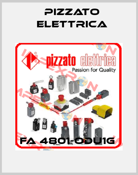 FA 4801-ODU1G  Pizzato Elettrica