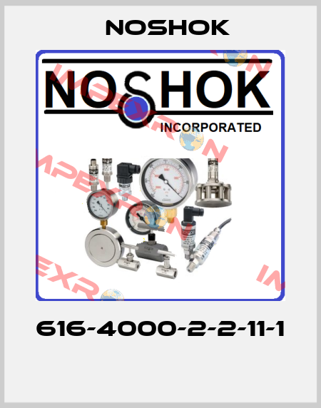 616-4000-2-2-11-1  Noshok