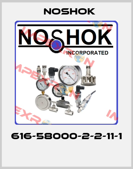616-58000-2-2-11-1  Noshok