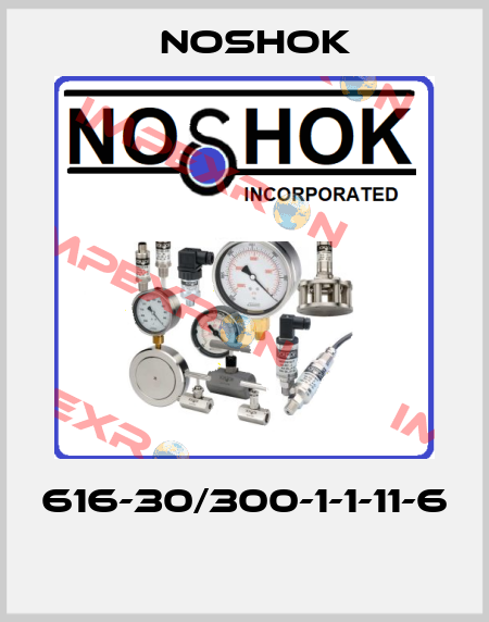616-30/300-1-1-11-6  Noshok