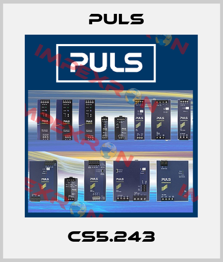 CS5.243 Puls