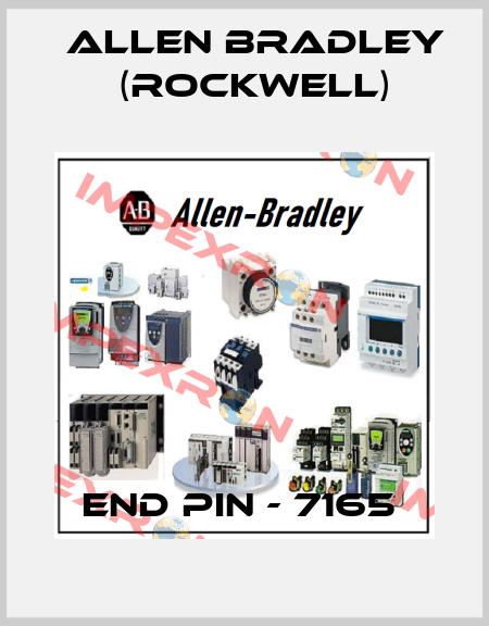 END PIN - 7165  Allen Bradley (Rockwell)