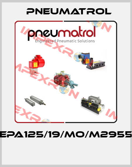 EPA125/19/MO/M2955  Pneumatrol