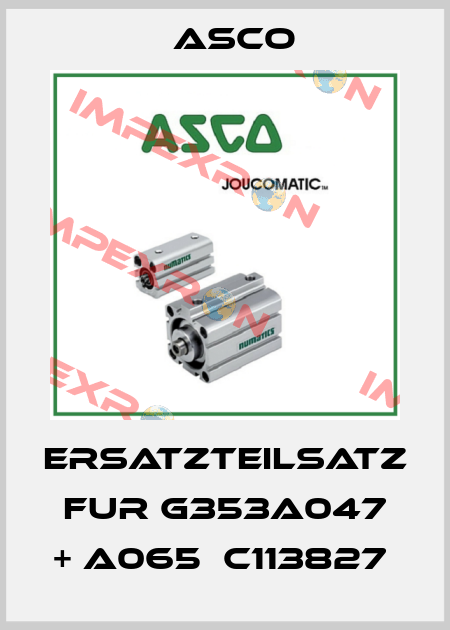 ERSATZTEILSATZ FUR G353A047 + A065  C113827  Asco