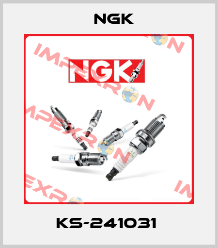 KS-241031  NGK