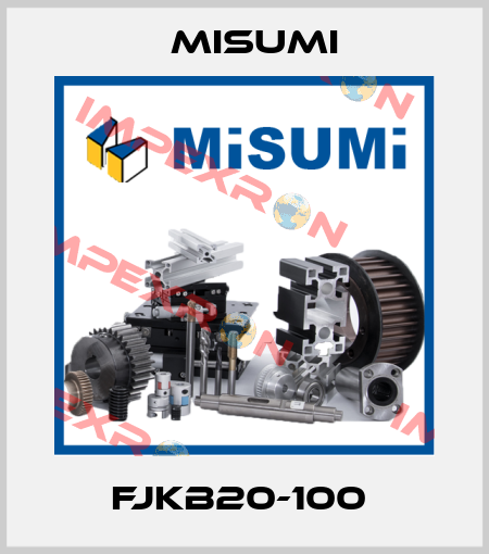 FJKB20-100  Misumi