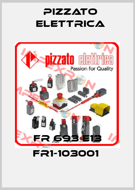 FR 693 E13 FR1-103001  Pizzato Elettrica