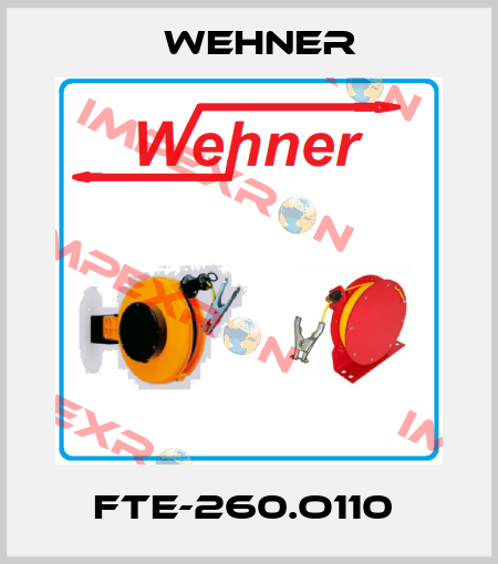 FTE-260.O110  Wehner