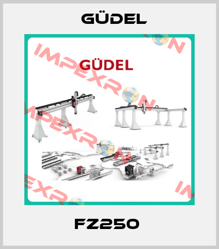 FZ250  Güdel
