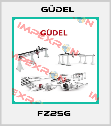 FZ25G  Güdel
