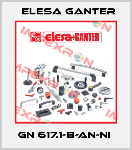 GN 617.1-8-AN-NI  Elesa Ganter