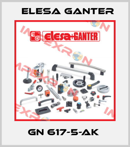 GN 617-5-AK  Elesa Ganter