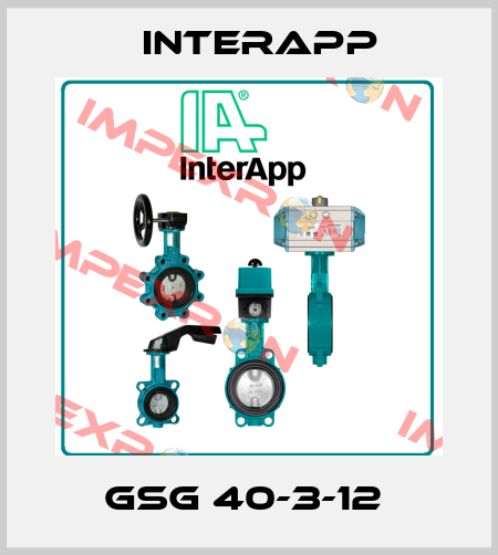 GSG 40-3-12  InterApp
