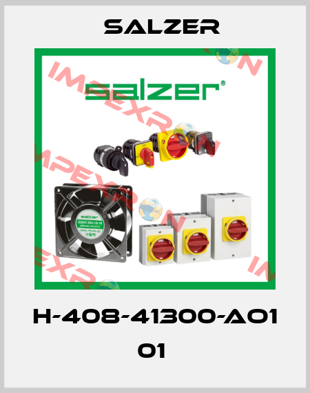 H-408-41300-AO1 01  Salzer