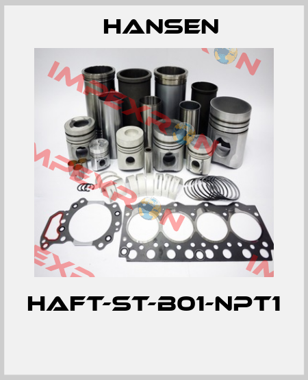 HAFT-ST-B01-NPT1  Hansen