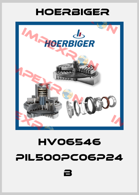 HV06546 PIL500PC06P24 B  Hoerbiger
