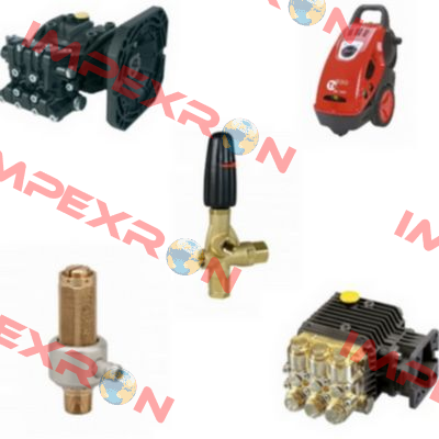 IP51040009  Interpump