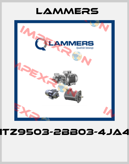 1TZ9503-2BB03-4JA4  Lammers