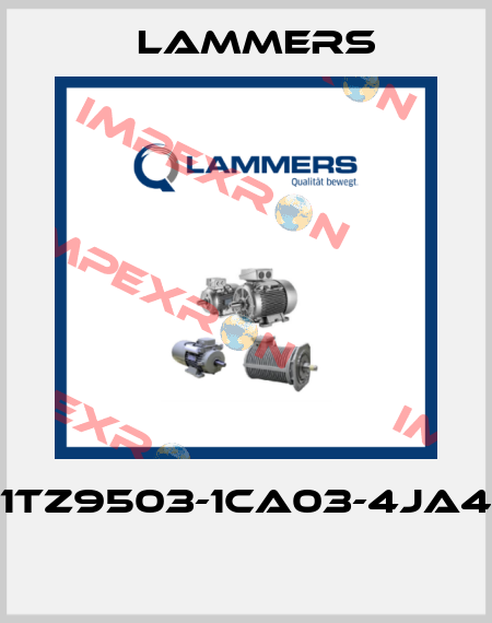 1TZ9503-1CA03-4JA4  Lammers