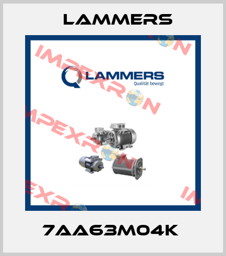 7AA63M04k  Lammers