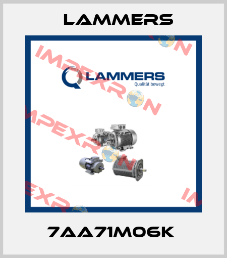 7AA71M06k  Lammers