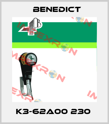 K3-62A00 230  Benedict