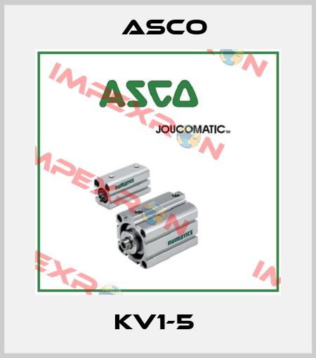 KV1-5  Asco