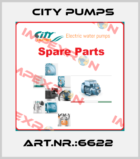 Art.Nr.:6622  City Pumps