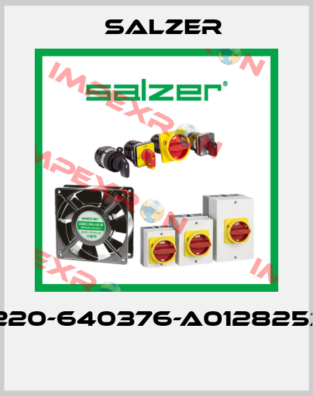 P220-640376-A01282537  Salzer