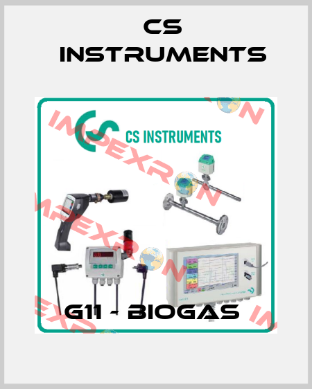 G11 - Biogas  Cs Instruments