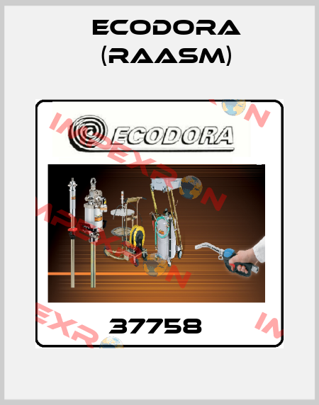 37758  Ecodora (Raasm)
