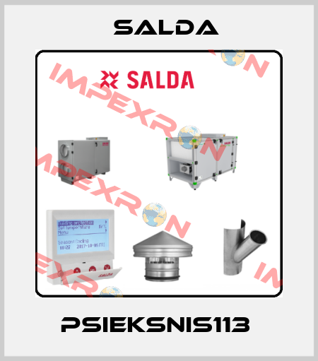 PSIEKSNIS113  Salda