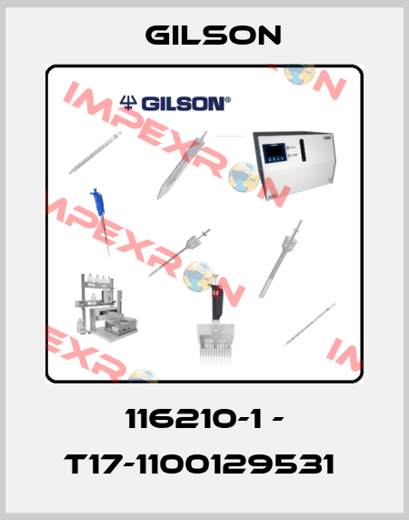  116210-1 - T17-1100129531  Gilson