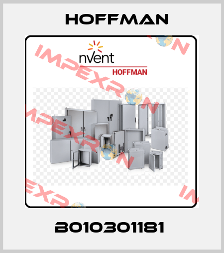 B010301181  Hoffman