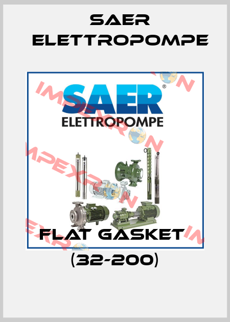 Flat gasket  (32-200) Saer Elettropompe