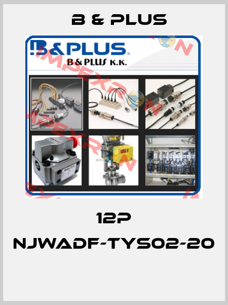 12P NJWADF-TYS02-20  B & PLUS