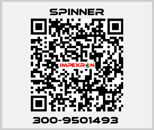 300-9501493  SPINNER