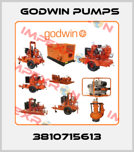 3810715613 Godwin Pumps