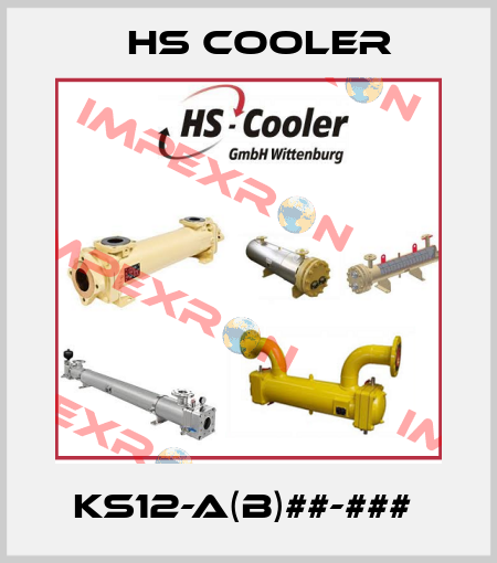 KS12-A(B)##-###  HS Cooler