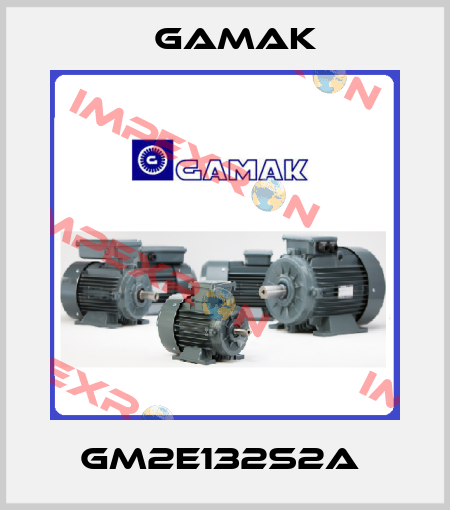 GM2E132S2a  Gamak